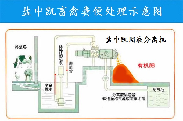 好色先生在线视频機